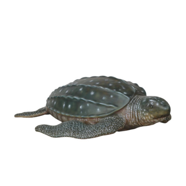 LEATHERBACK TURTLE