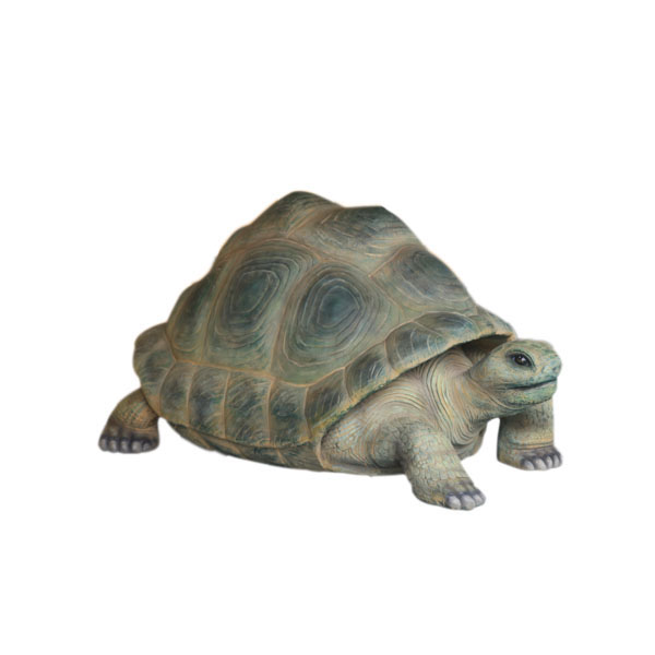 ALDABRA TURTLE