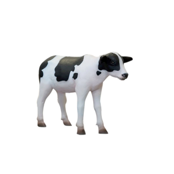 CALF 20"