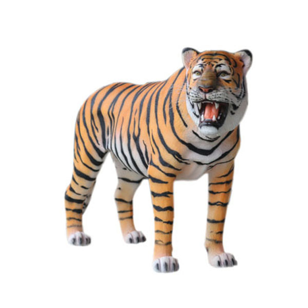 TIGER GAZING