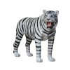 TIGER GAZING (WHITE)