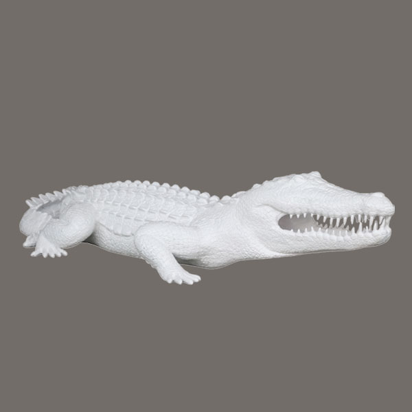 CROCODILE (W)