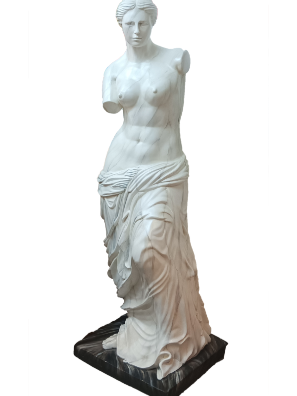 VENUS (B)