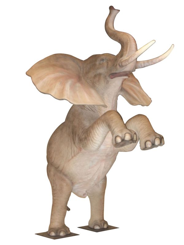 ELEPHANT PRANCING