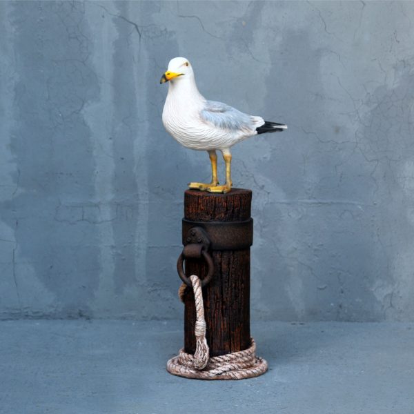 SEAGULL ON MOORING POLE