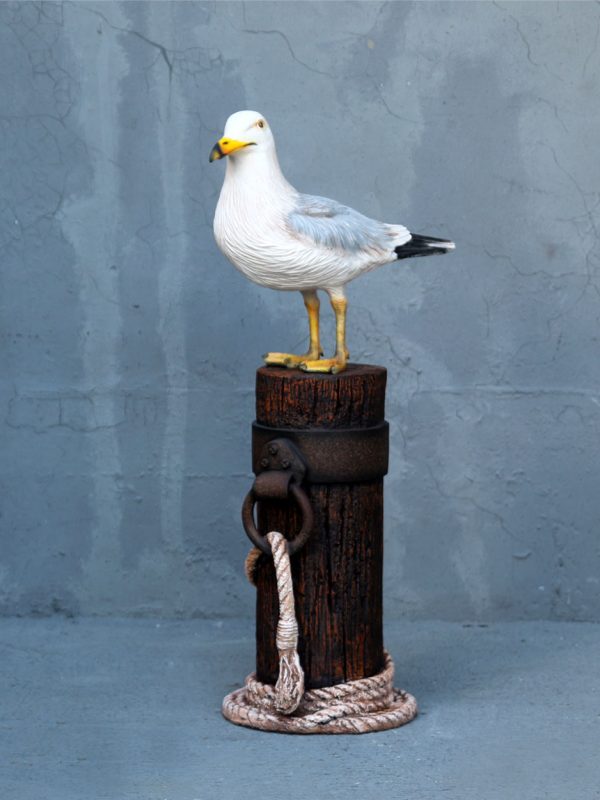 SEAGULL ON MOORING POLE