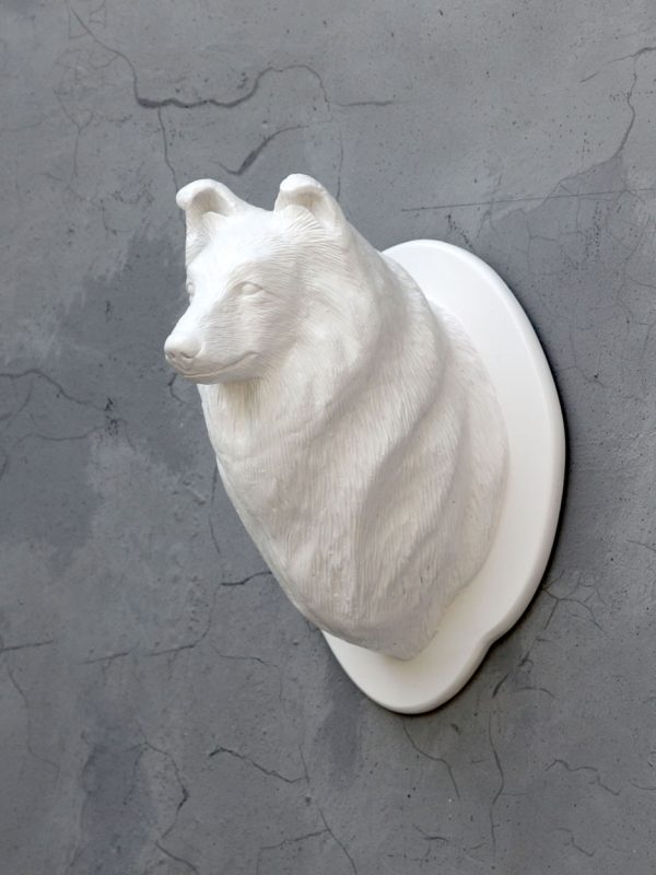 SHETLAND SHEEPDOG HEAD