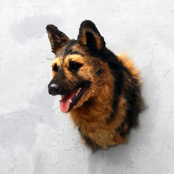 GERMAN SHEPHERD HEAD 2