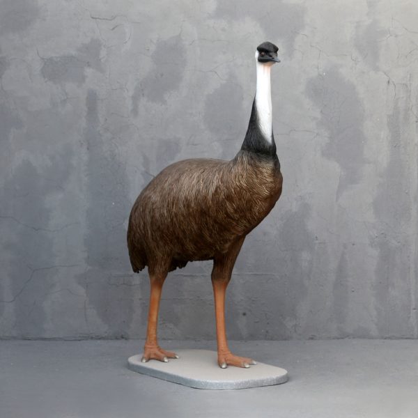 EMU BIRD