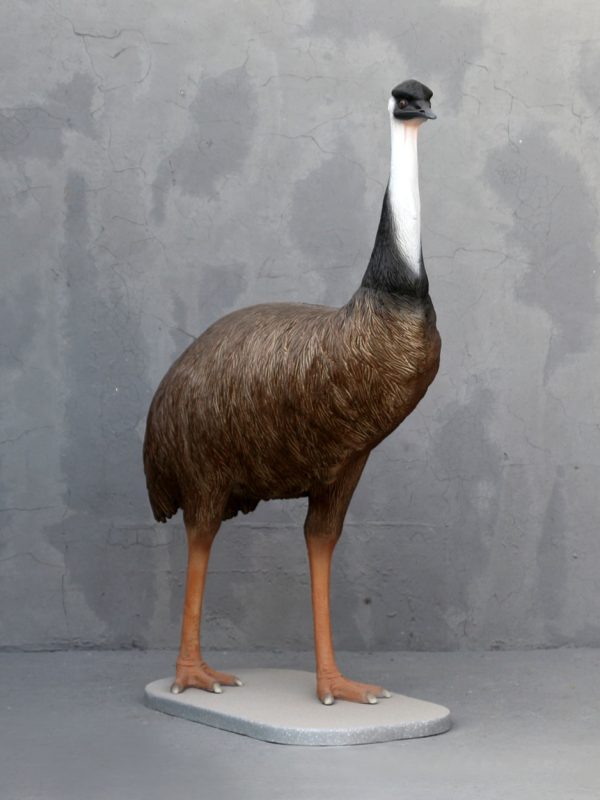 EMU BIRD