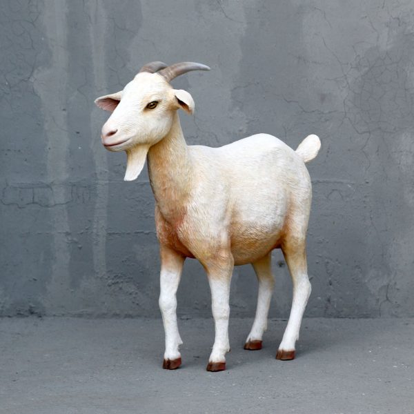 CREAM GOAT