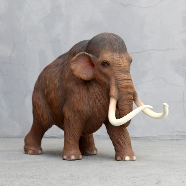 MAMMOTH SMALL