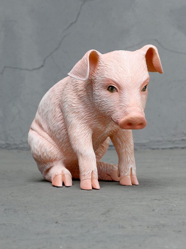 PIGLET SITTING