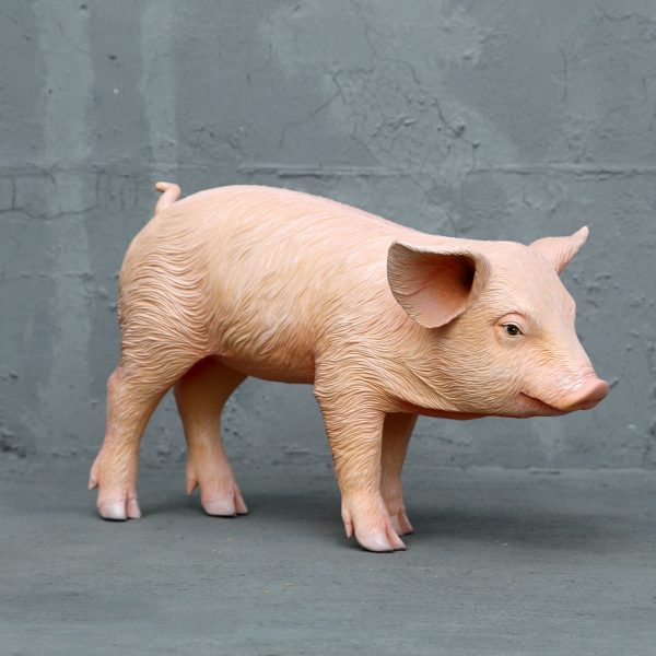 PIGLET CHUBBY