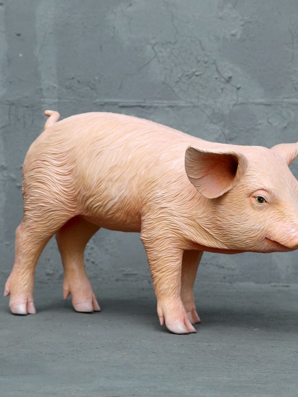 PIGLET CHUBBY