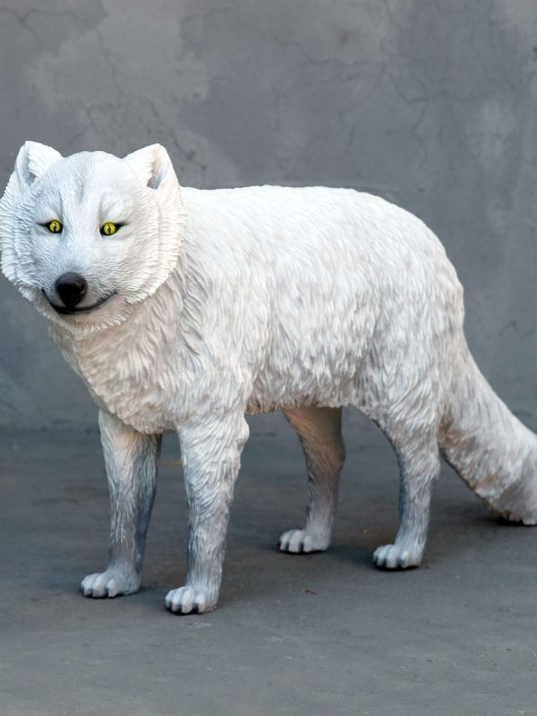 ARTIC FOX WHITE