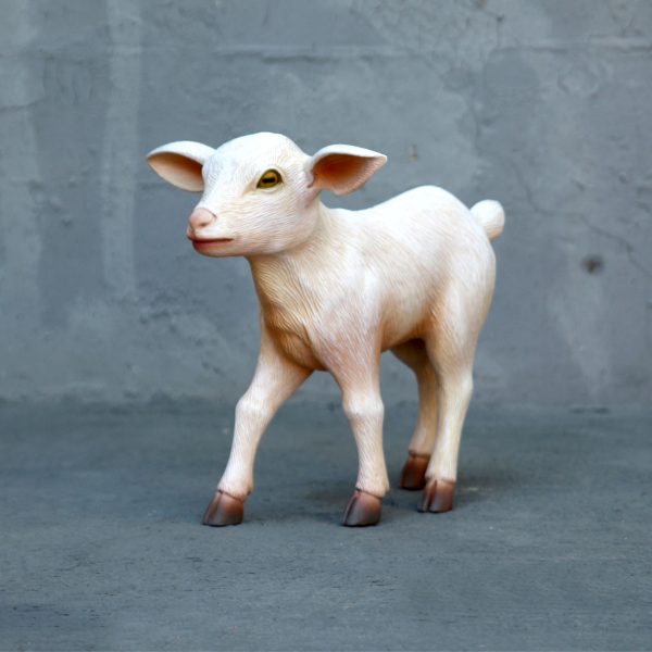 GOAT KID STANDING