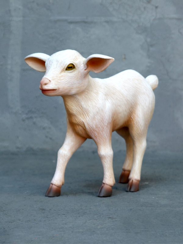 GOAT KID STANDING