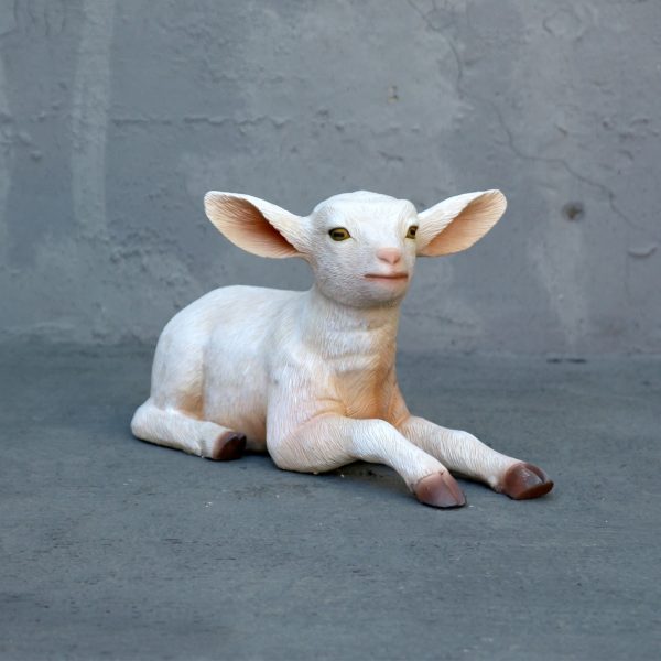 GOAT KID LYING