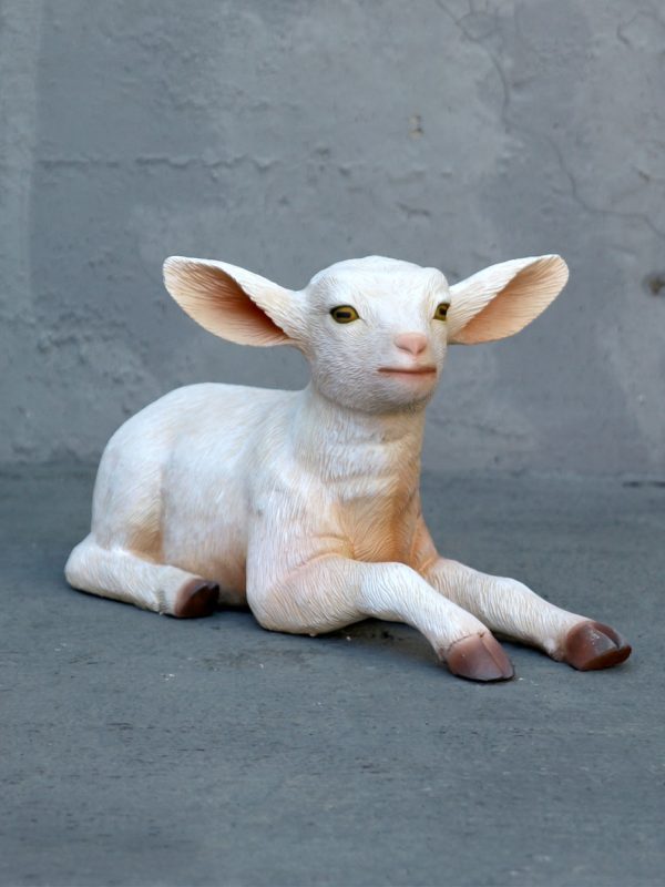 GOAT KID LYING