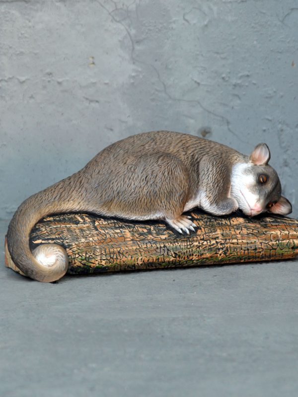 POSSUM RING TAILED
