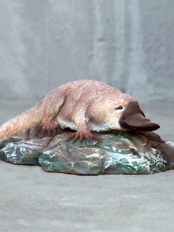 PLATYPUS