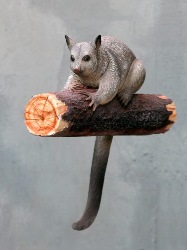 POSSUM BRUSH TAILED