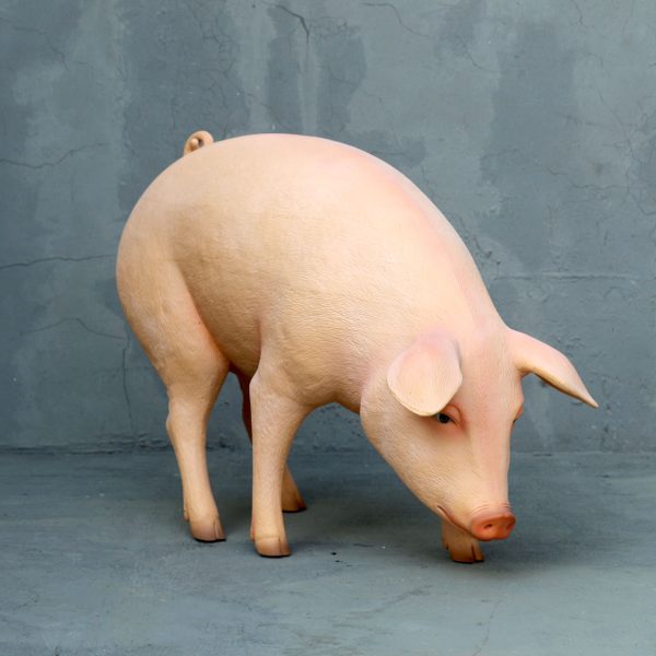 PIG HEAD DOWN