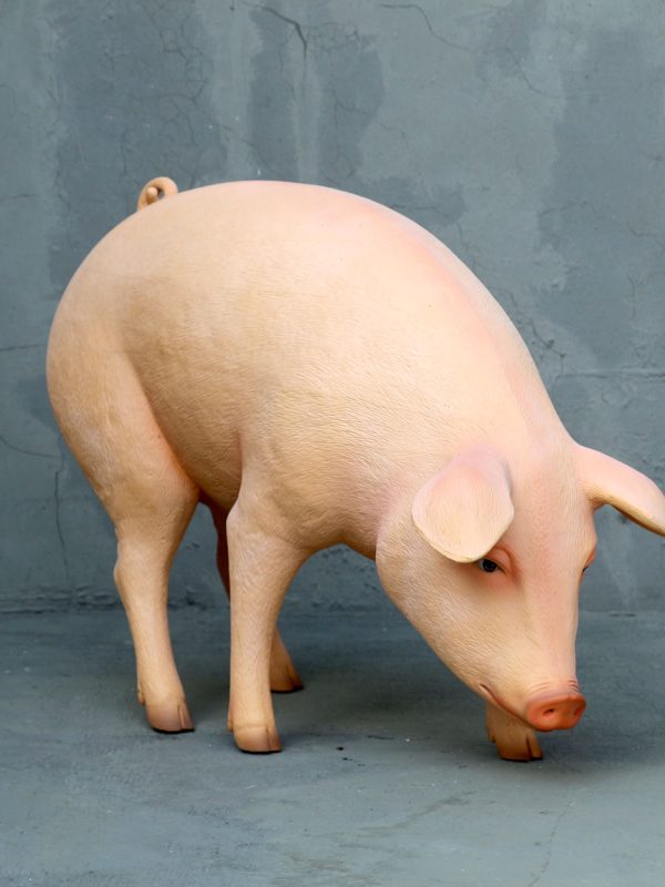 PIG HEAD DOWN