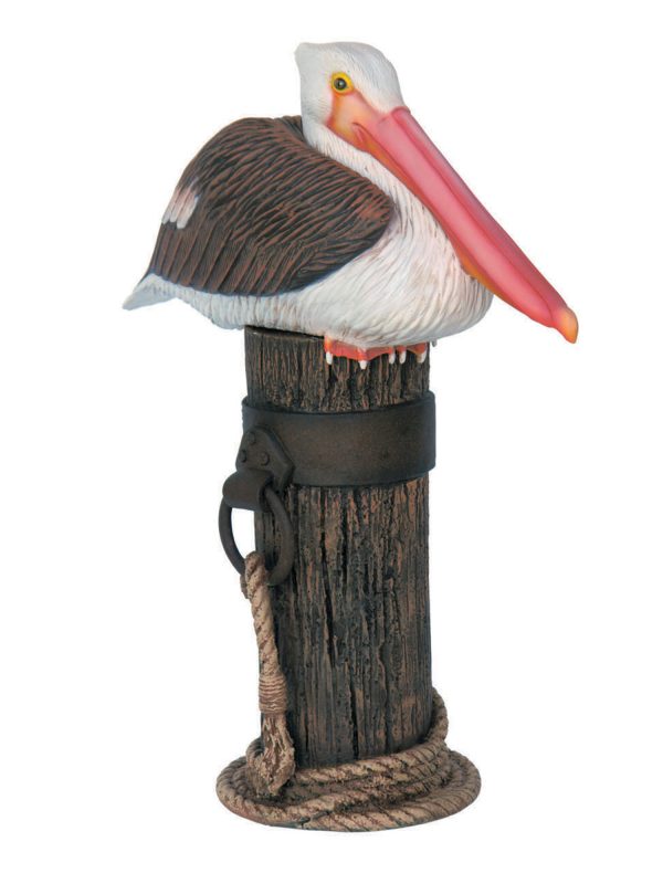PELICAN ON MOORING POLE