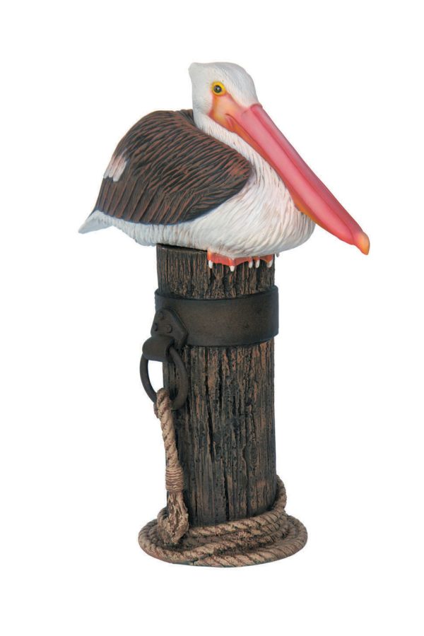 PELICAN ON MOORING POLE