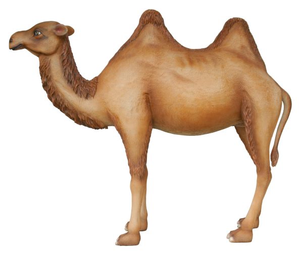 CAMEL (7 FT TALL)
