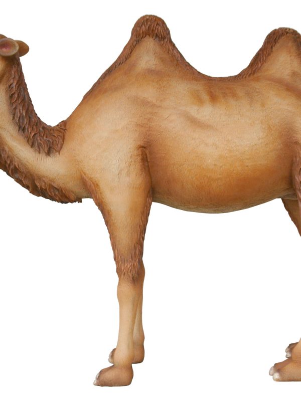 CAMEL (7 FT TALL)