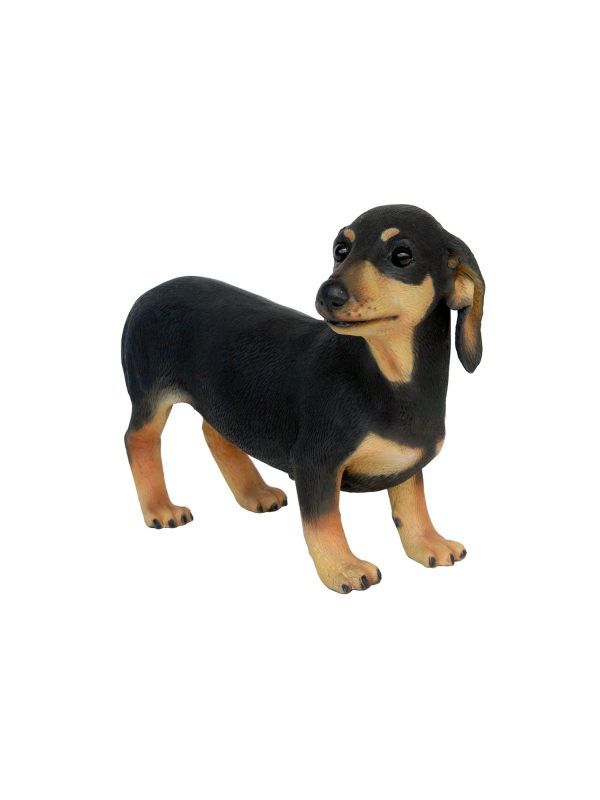 DACHSHUND DOG