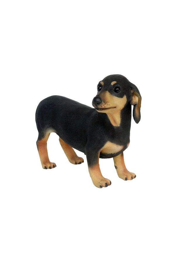 DACHSHUND DOG