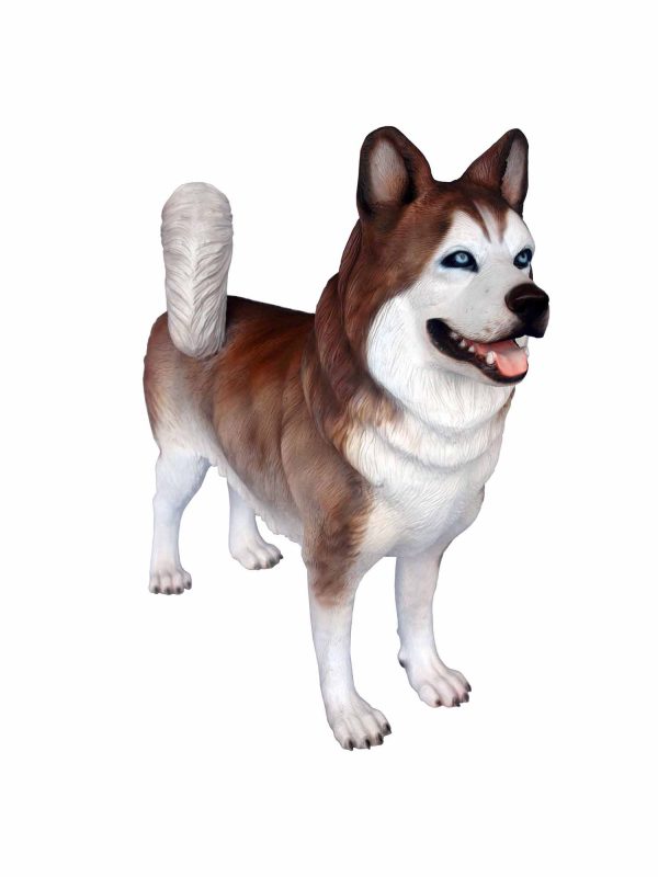 HUSKY DOG