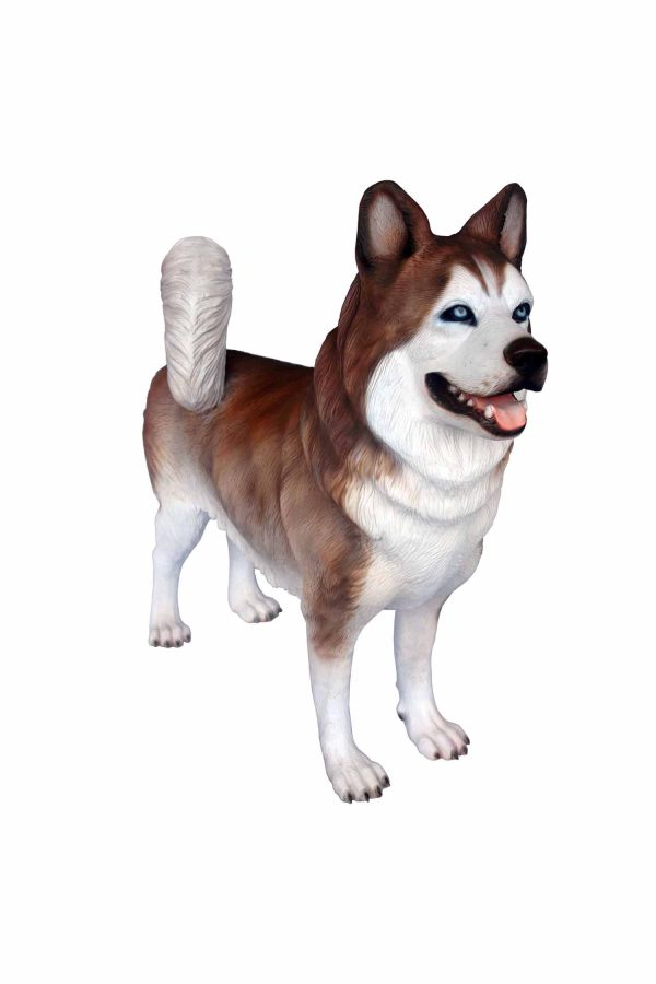 HUSKY DOG