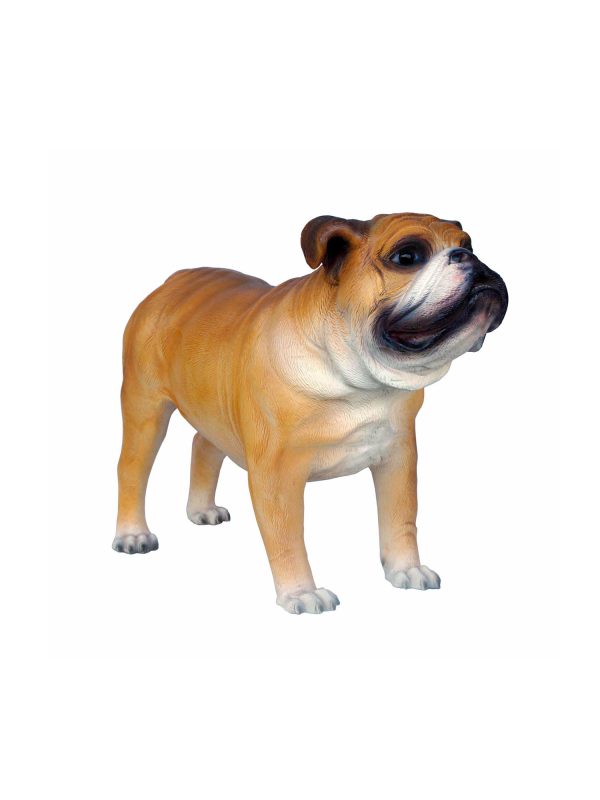 BULLDOG
