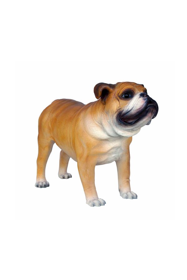 BULLDOG