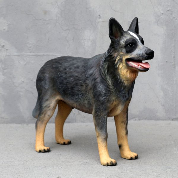 BLUE HEELER DOG