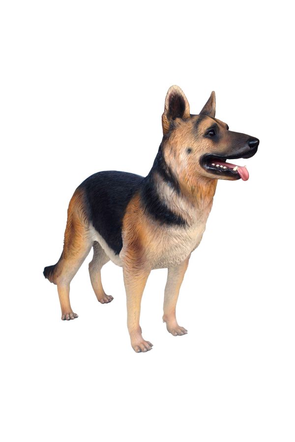 GERMAN SHEPHERD DOG