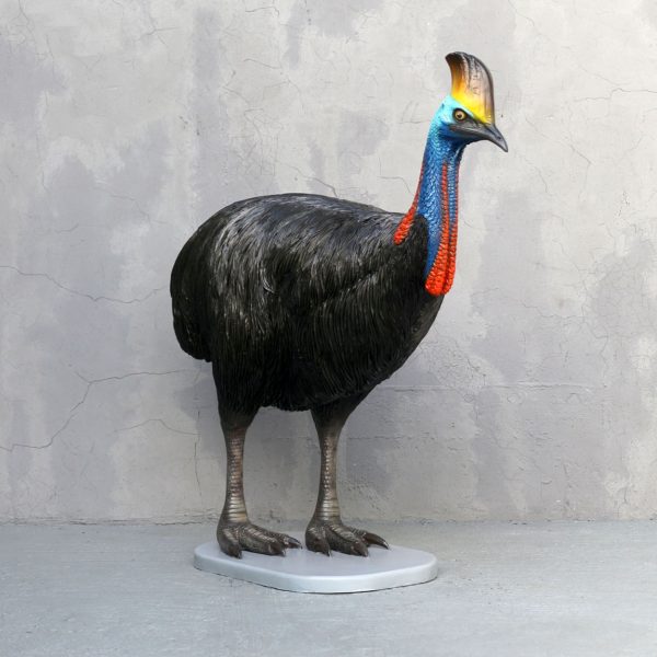 CASSOWARY BIRD (FEMALE)