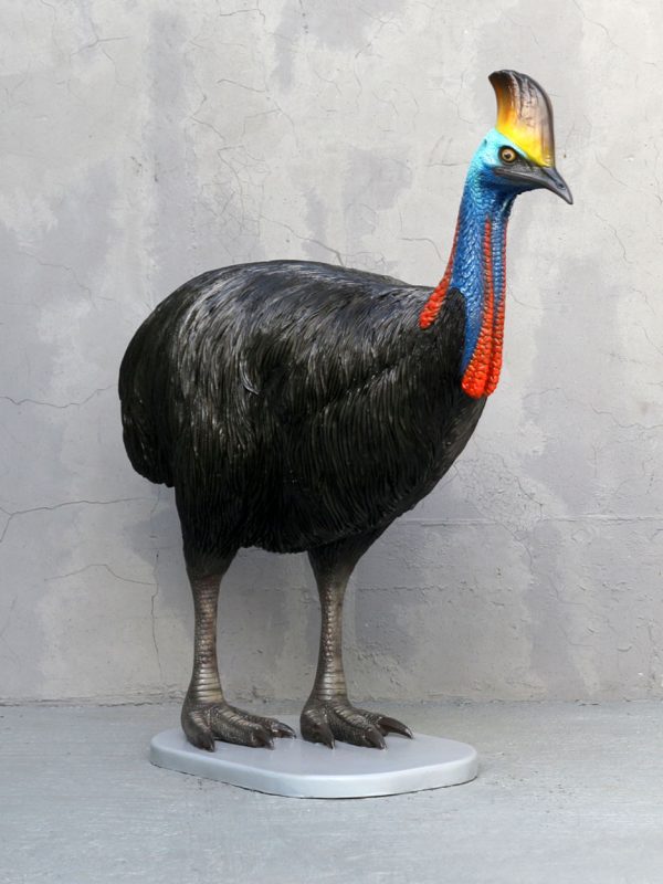 CASSOWARY BIRD (FEMALE)