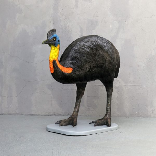CASSOWARY BIRD (MALE)