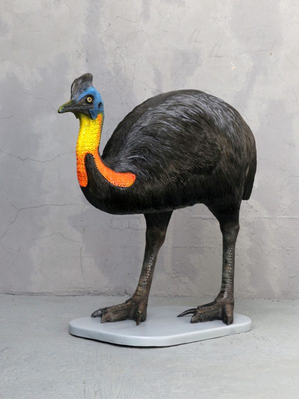 CASSOWARY BIRD (MALE)