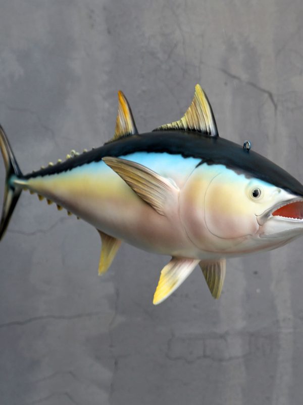 YELLOW FIN TUNA