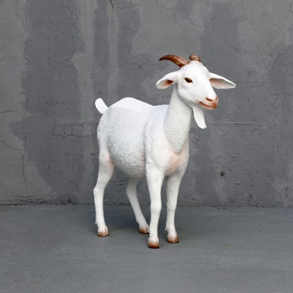 WHITE GOAT