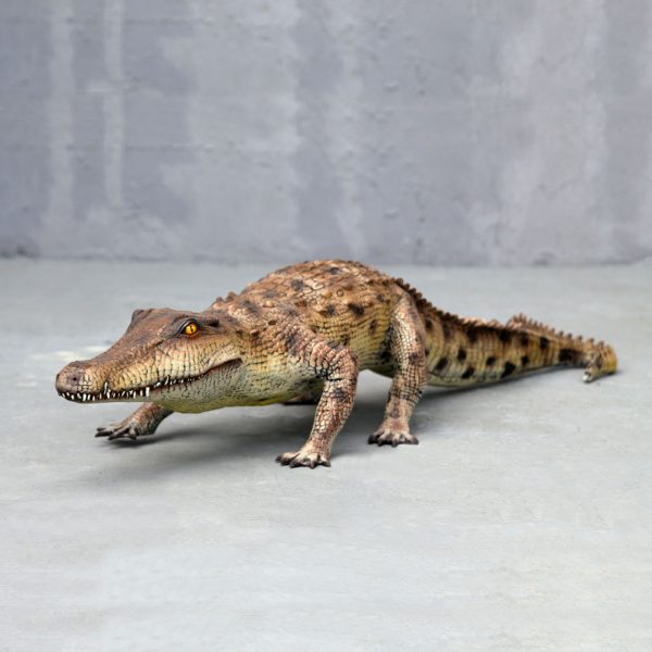 SALT WATER CROCODILE