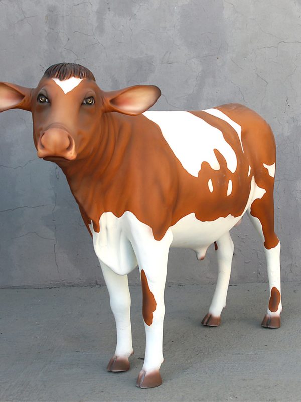 GUERNSEY COW