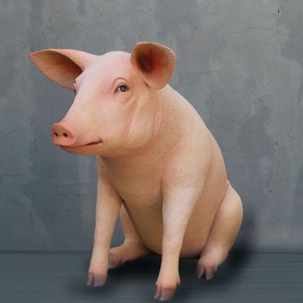 PIG SITTING 2